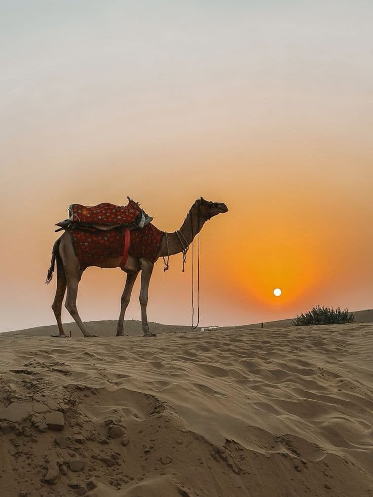 Jaisalmer Desert Safari Tour