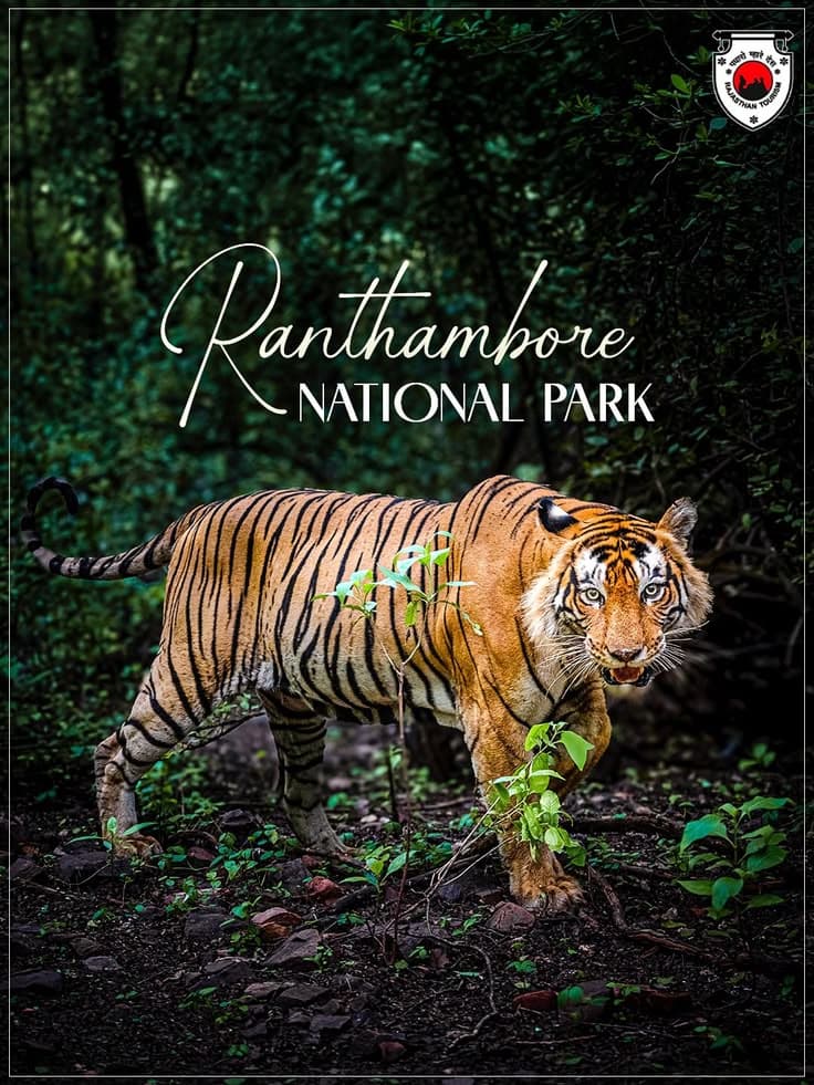 Ranthambore National Park